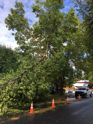 Storm Damage Image 1