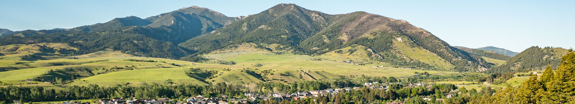 Bozeman-Banner-16