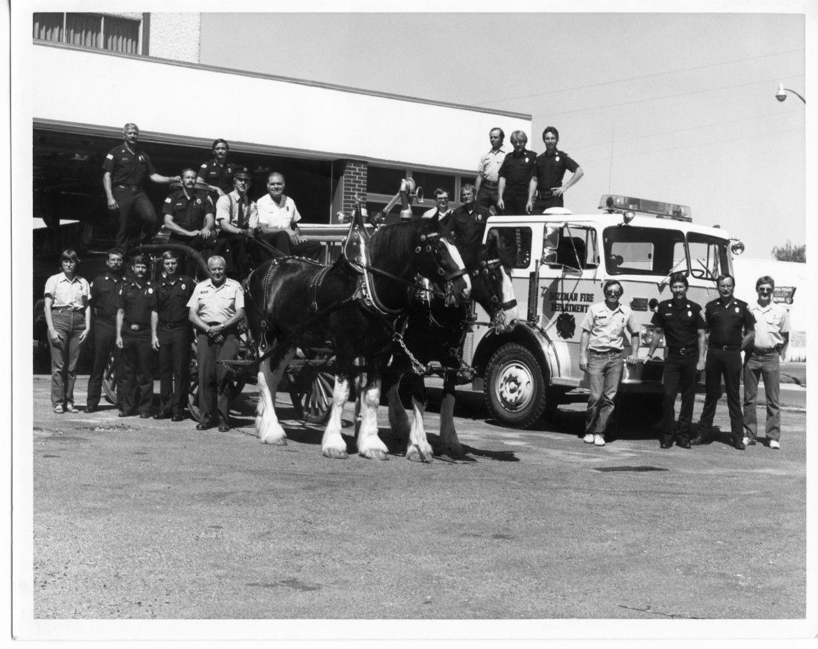 horses with new engine 