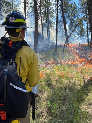 Wild Fire with firefighter